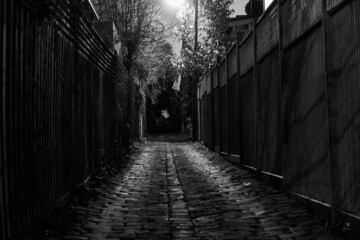 Dark Lane Way With Stone Pavement