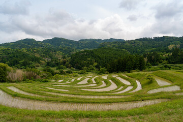 大山千枚田　鴨川