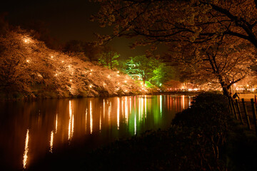 高田城　三重櫓夜景