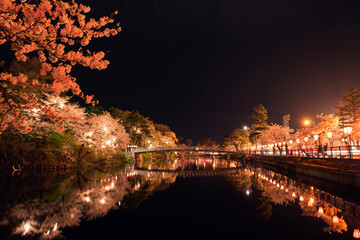 高田城 夜景