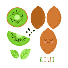 Set of fruits. Summer fruit collection. Fruits kiwi. Vegetarian and ecology food. Vector illustration