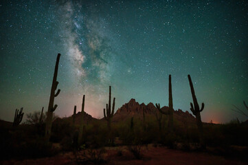 Milky Way over silhouetted Saguaro cactus 