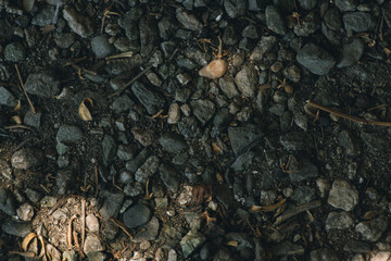 rocks on the ground texture