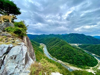 tiger on top of cliff with river