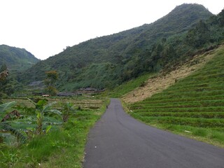 mountain road in the mountains
