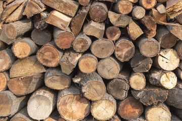 Closeup shot of a pile of cut firewood logs
