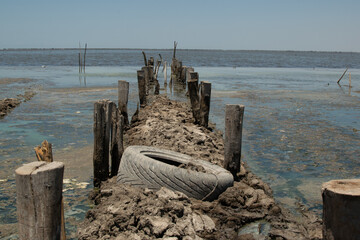 Soil cracked and arid due to contamination or pollution
