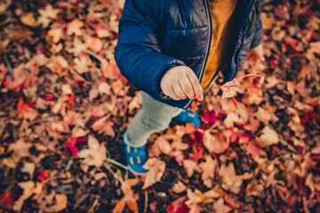 Baby Toddler playing with Autumn leaves in Auckland New Zealand