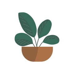 House plants in the half circle potted. Hand drawn vector. Plants illustration isolated on white background.