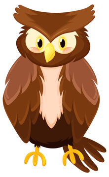 Brown owl bird in cartoon style