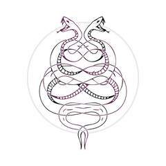 vector illustration of two snakes concept