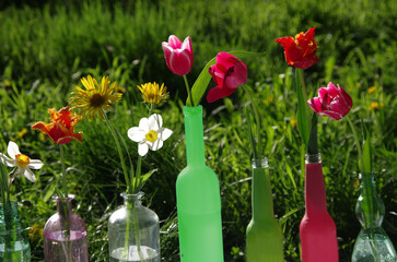 Tulips and daffodils in colorful vases and bottles against the background of grass.