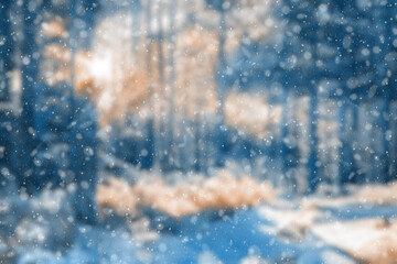  blurred winter forest