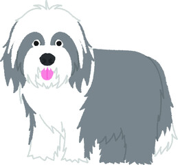 ビアデッドコリーの犬イラスト