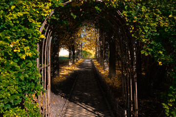 A picturesque road in an autumn park. Front view.