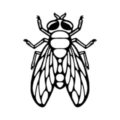 Fly insect. Outline silhouette. Design element. Vector illustration isolated on white background. Template for reppelent.