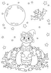 A cat in a witch hat sits on a pumpkin at night. Halloween theme. Coloring book page for kids. Cartoon style. Vector illustration isolated on white background.