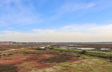 view of wetlands and new housing estates