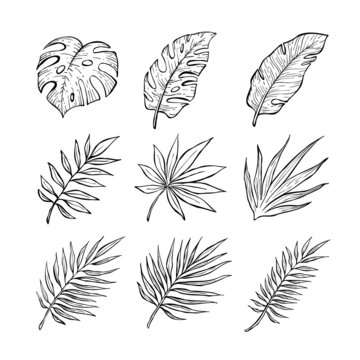 挿画 Images Browse 14 698 Stock Photos Vectors And Video Adobe Stock