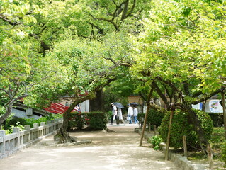 Dazaifu Tenmangu shrine in Dazaifu city
