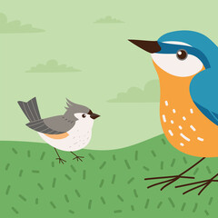 birds in the grass