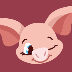 cute face of pig