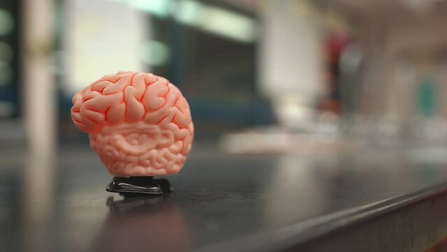 Fun wind-up toy walking brain walks across screen from right to left.