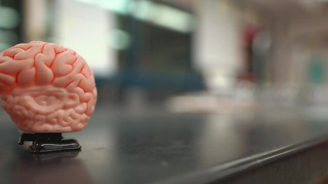 Video of a funny looking wind-up toy walking brain walks across screen.