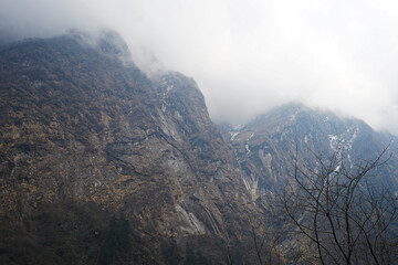 Natural landscape of rocky stream among green mountain valley hill