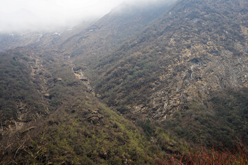 Natural landscape of rocky stream among green mountain valley hill