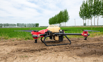 The drone is spraying the wheat