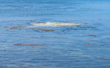 Obraz premium Disturbance under surface of water