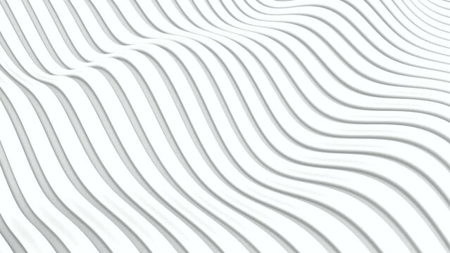 White wavy striped background. Seamless loop