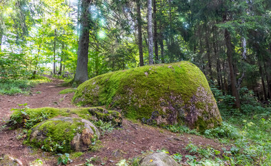 A large green boulder overgrown with moss in the middle of the forest