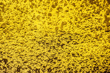 背景テクスチャ素材_金色_ゴールド_高級感_でこぼこ_陶磁器_モルタル