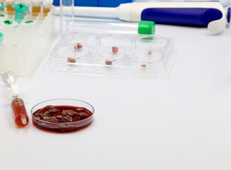 Synthetic meat is cultured in the biotechnology laboratory from cow adult stem cells.
Lab-grown...