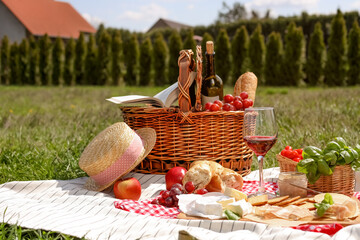 Blanket with picnic basket and different products on green grass