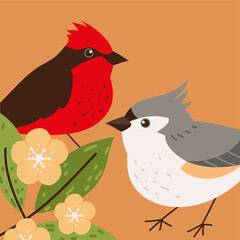 birds cute animals