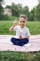 portrait of a four year old boy in a white shirt on a field in summer sit on cover and show five.