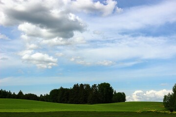 green field and sky