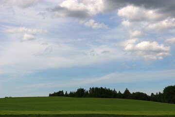 green field and sky