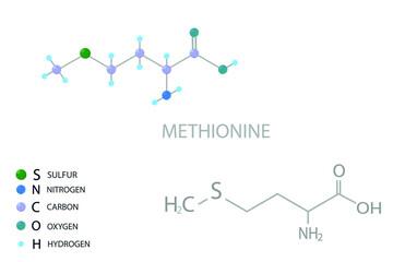 Methionine molecular skeletal 3D chemical formula.	