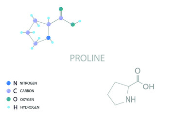 Proline molecular skeletal 3D chemical formula.	