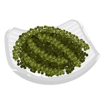 海ぶどう の画像 17 745 件の Stock 写真 ベクターおよびビデオ Adobe Stock