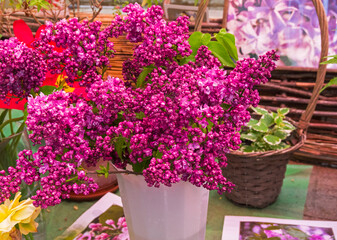 Fototapeta na wymiar Beautiful bouquet of lilac