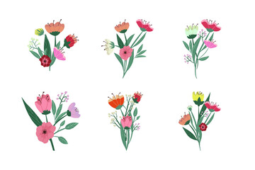 Set of six vector flowers and leaves