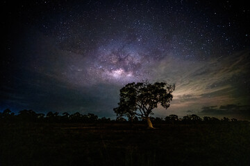 Milky Way Galaxy moving over the tree. Night lapse from night to day. Starry night, Phangnga...
