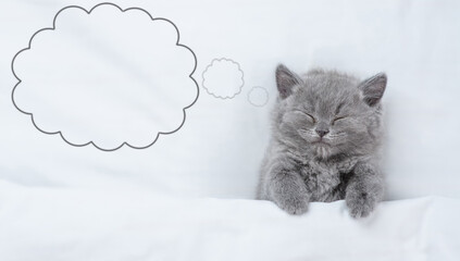 Dreaming kitten lying under white warm blanket on a bed at home. Top down view, Empty space for text