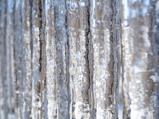 Fototapeta premium つらら