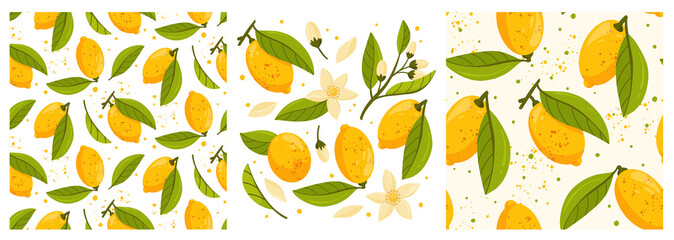 Collection and seamless patterns of lemon tree branches with fruits, leaves and flowers isolated on white background. Fresh citrus. Exotical tropical plant. Flat vector illustration.